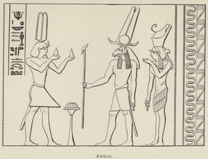 Ammon